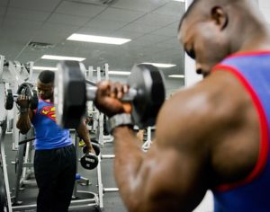 muscles