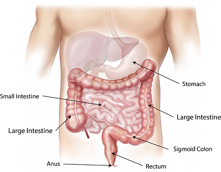 colon cleanse