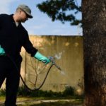 pest control