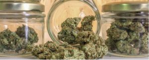 marijuana container