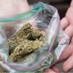 ziploc bag for marijuana