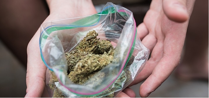 ziploc bag for marijuana