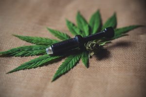 cannabis