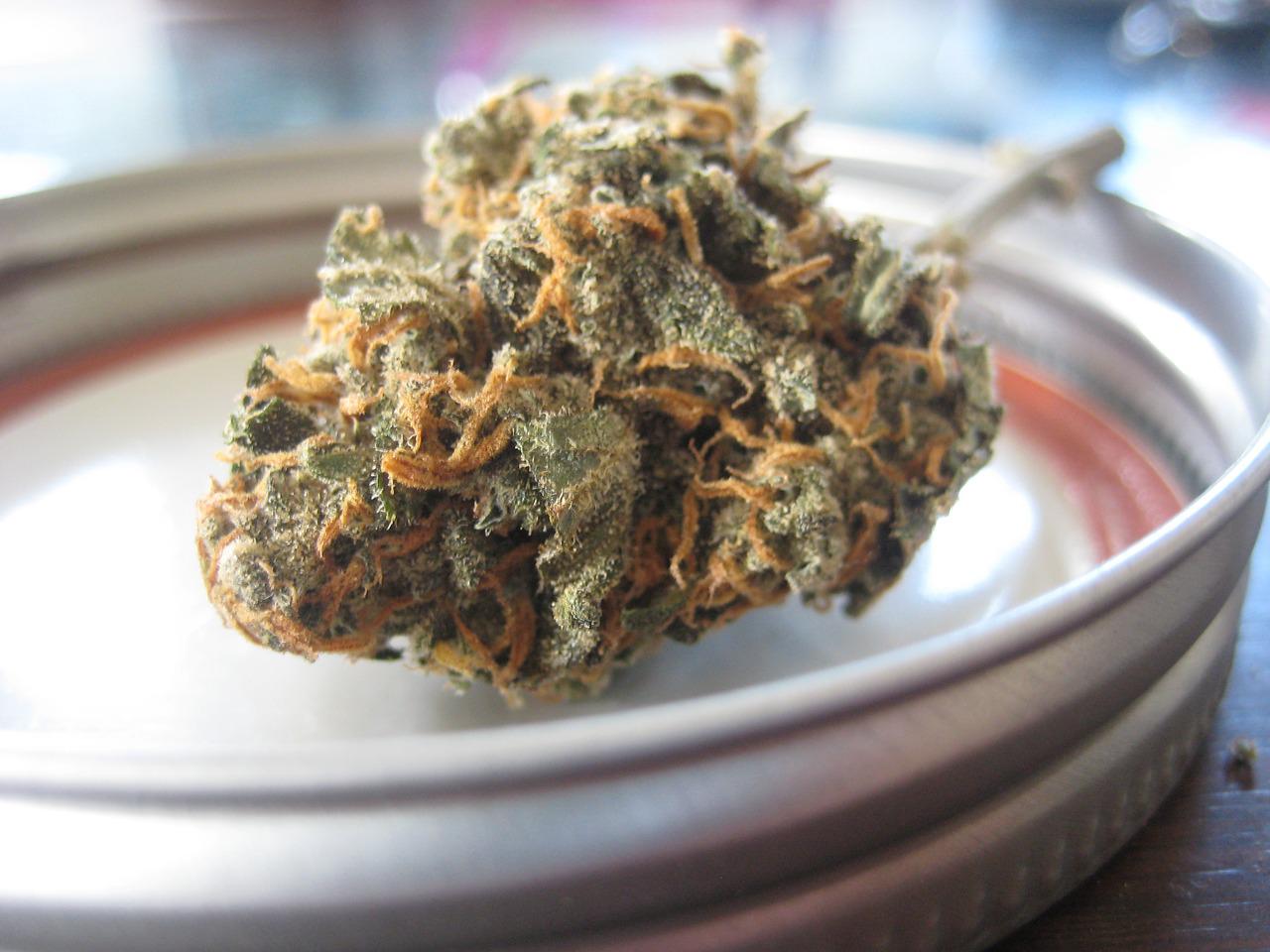 The Potential Side Effects of CBD